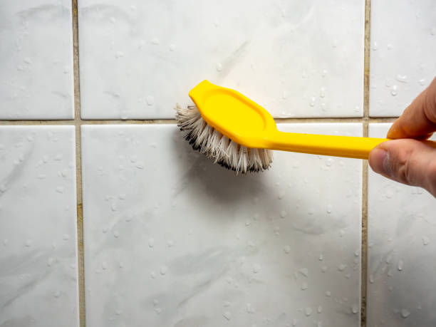 Best Fast Mold Removal  in Anchor Point, AK