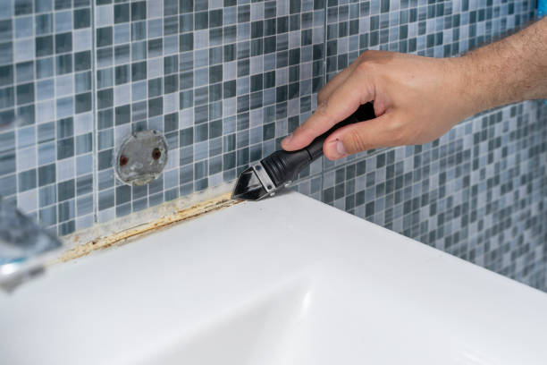 Best Home Mold Removal  in Anchor Point, AK