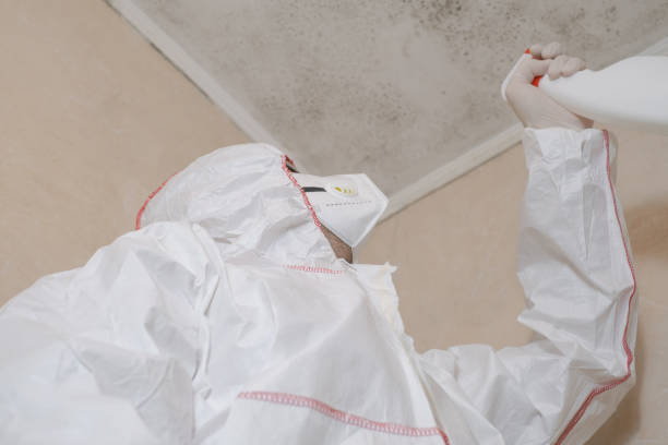 Best Mold Testing  in Anchor Point, AK