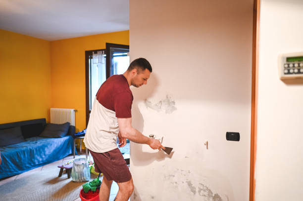Best Local Mold Removal Service  in Anchor Point, AK